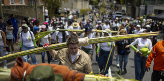 Los palmeros de Chacao bajaron del Ávila con palmas para el Domingo de Ramos los-palmeros-de-chacao-bajaron-del-avila-con-palmas-para-el-domingo-de-ramos