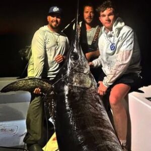 gigante-del-oceano:-un-pez-espada-de-mas-de-220-kilos-sorprendio-en-la-florida
