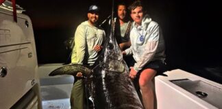 Gigante del océano: un pez espada de más de 220 kilos sorprendió en la Florida gigante-del-oceano:-un-pez-espada-de-mas-de-220-kilos-sorprendio-en-la-florida