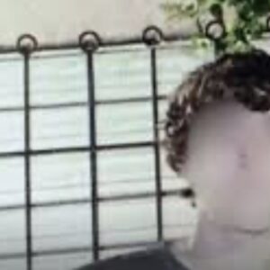el-escalofriante-detalle-en-redes-del-asesino-de-ian-cabrera