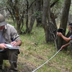 instalan-camaras-trampa-para-estudiar-y-proteger-a-la-fauna-en-la-reserva-natural-las-piedras