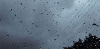 Clima en Ciudad de Buenos Aires: jueves 2 de abril clima-en-ciudad-de-buenos-aires:-jueves-2-de-abril