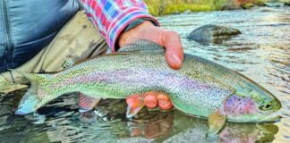 Copahue: truchas en aguas frías y calientes copahue:-truchas-en-aguas-frias-y-calientes