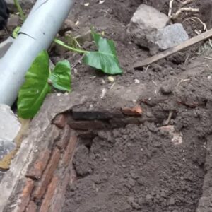 moron:-mataron-y-enterraron-en-un-jardin-a-un-musico