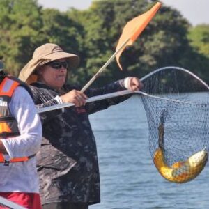 dorado-esquivo,-pero-protagonista:-asi-fue-su-fiesta-en-el-parana