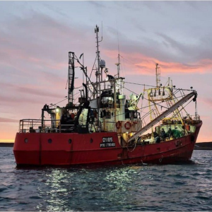 crisis-en-la-pesca:-por-la-suba-de-costos,-las-perdidas-ascienden-a-casi-30%-y-en-el-sector-advierten-parada-de-barcos