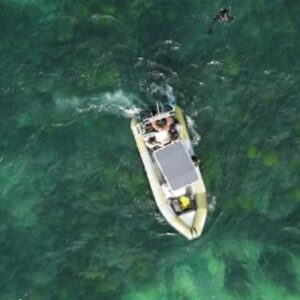 lanzan-una-campana-para-nombrar-y-proteger-a-los-bosques-marinos