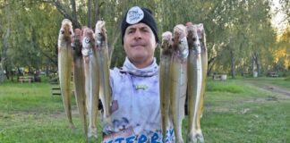 Río de la Plata: en Hudson ya aparecen pejerreyes de gran porte rio-de-la-plata:-en-hudson-ya-aparecen-pejerreyes-de-gran-porte