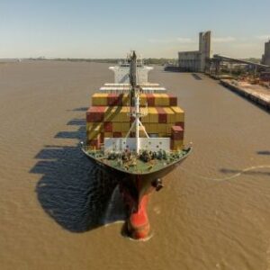 la-subasta-de-mileis-favorece-a-un-grupo-con-vinculos-pasados-​​con-china,-advierte-una-draga-estadounidense