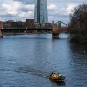 impactante-informe:-el-42-%-de-los-peces-de-agua-dulce-europeos-enfrenta-riesgo-de-desaparecer