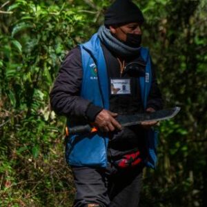 au-mexique,-199defenseurs-de-lenvironnement-ont-ete-suicides-en-dix-ans