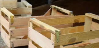 Las inundaciones arrasaron la producción hortícola en Santa Fe y anticipan suba de precios las-inundaciones-arrasaron-la-produccion-horticola-en-santa-fe-y-anticipan-suba-de-precios