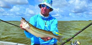 La Salada Grande de Madariaga: fábrica de matungos la-salada-grande-de-madariaga:-fabrica-de-matungos