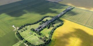 Guitarra gigante de árboles sirve como homenaje al amor eterno guitarra-gigante-de-arboles-sirve-como-homenaje-al-amor-eterno