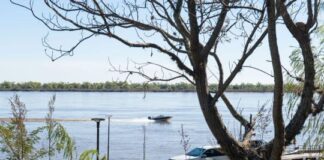 Nuevos cupos en Entre Ríos: qué se puede pescar y cuándo en el río Paraná nuevos-cupos-en-entre-rios:-que-se-puede-pescar-y-cuando-en-el-rio-parana