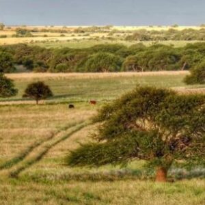 carrera-de-mtb-en-la-reserva-fiorucci-de-la-pampa