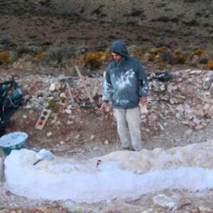 un-poblador-rural-encontro-restos-fosiles-de-una-nueva-especie-de-dinosaurio-herbivoro-en-la-patagonia