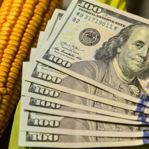 boom-exportador-primario-y-dolar-calmo:-los-analistas-ven-improbable-una-crisis-del-sector-externo
