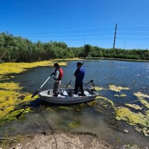 de-cavas-abandonadas-a-nuevos-ambitos-de-pesca:-estudian-sembrar-pejerreyes-en-buenos-aires