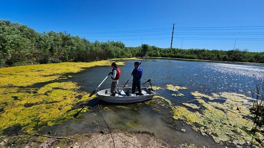 de-cavas-abandonadas-a-nuevos-ambitos-de-pesca:-estudian-sembrar-pejerreyes-en-buenos-aires