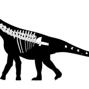 otro-descubrimiento-de-dinosaurios:-los-cientificos-descubren-el-bicharracosaurus-en-la-patagonia