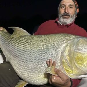 el-tigre-del-parana-volvio-a-rugir:-dorado-de-30-kg-sorprende-en-aguas-correntinas
