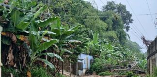 Vialidad en Mérida continúa afectada por las precipitaciones vialidad-en-merida-continua-afectada-por-las-precipitaciones