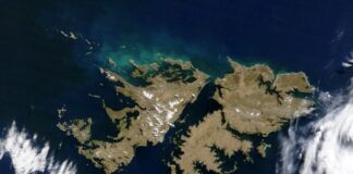 US weighs ending support for UKs claim to Malvinas, says Reuters us-weighs-ending-support-for-uks-claim-to-malvinas,-says-reuters