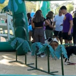 dia-del-animal:-una-jornada-para-disfrutar-en-familia-en-el-paseo-de-la-costa-de-vicente-lopez