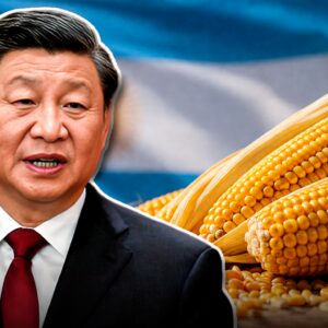 china-compra-maiz-de-un-pais-de-sudamerica-por-primera-vez-en-mas-de-10-anos-y-proyectan-que-exportacion-supere-40-millones-de-toneladas