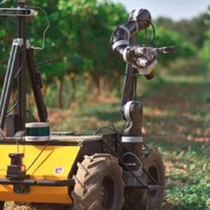 un-cientifico-argentino-diseno-un-robot-para-detectar-enfermedades-en-arboles-en-segundos