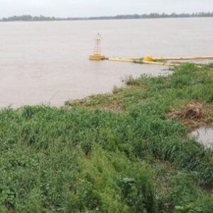 invasion-de-camalotes-en-el-parana:-como-afecta-la-pesca-y-que-riesgos-genera