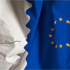 entro-en-vigencia-el-acuerdo-mercosur-ue:-que-implica-para-argentina