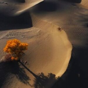 china-busca-frenar-el-avance-del-desierto-de-taklamakan-con-paneles-solares-y-sales-termicas