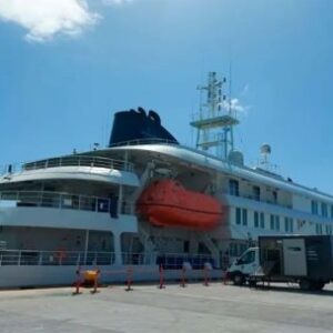 riesgo-‘bajo’-para-el-publico-de-contraer-hantavirus-despues-de-las-muertes-en-cruceros,-dice-la-oms