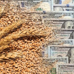 dolares-del-agro:-la-liquidacion-cayo-1,2%-interanual-en-abril,-en-el-comienzo-de-la-cosecha-gruesa
