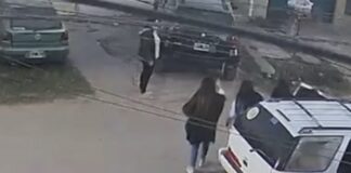 ANIMALES: regresaron desmayada y desangrada a unanena de 12 años animales:-regresaron-desmayada-y-desangrada-a-unanena-de-12-anos