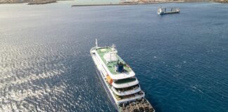 ¿Qué es el hantavirus y por qué genera alarma el brote en el crucero MV Hondius? ¿que-es-el-hantavirus-y-por-que-genera-alarma-el-brote-en-el-crucero-mv-hondius?