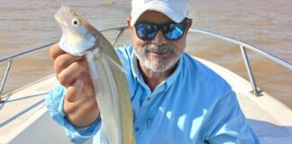 Pejerreyes en el Río de la Plata: señales positivas y grandes expectativas para la temporada pejerreyes-en-el-rio-de-la-plata:-senales-positivas-y-grandes-expectativas-para-la-temporada