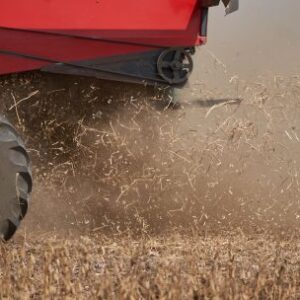argentina-lucha-por-salvar-enormes-exportaciones-de-soja-tras-rechazo-holandes