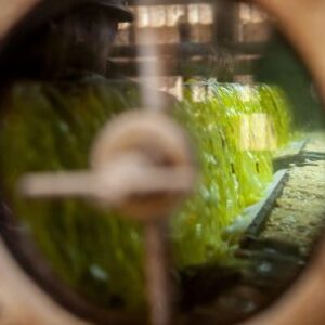 el-comercio-de-aceite-de-soja-argentino-a-estados-unidos-alcanza-su-nivel-mas-bajo-en-una-decada-en-el-momento-de-la-cosecha-y-los-biocombustibles