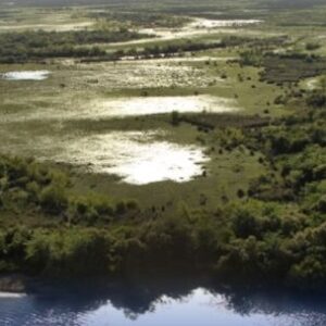 sancionaron-la-ampliacion-del-parque-nacional-esteros-de-farrapos-e-islas-del-rio-uruguay