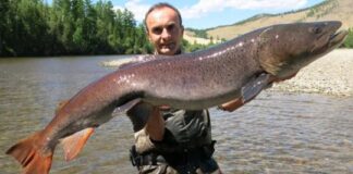 Peces foráneos fuera de control: el fenómeno que preocupa a científicos y pescadores deportivos peces-foraneos-fuera-de-control:-el-fenomeno-que-preocupa-a-cientificos-y-pescadores-deportivos