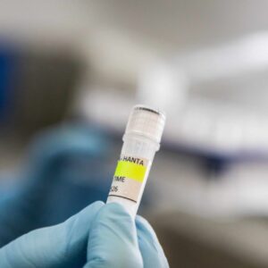 hantavirus-cruise-cases-rise-to-seven-but-who-says-infection-risks-are-low