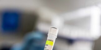 Hantavirus cruise cases rise to seven but WHO says infection risks are low hantavirus-cruise-cases-rise-to-seven-but-who-says-infection-risks-are-low
