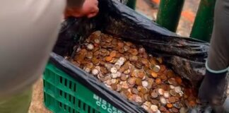 Encuentran 400 kilos de monedas y basura electrónica en las Cataratas del Iguazú encuentran-400-kilos-de-monedas-y-basura-electronica-en-las-cataratas-del-iguazu