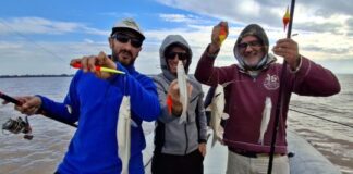 Tremenda pesca en Quilmes: el Río de la Plata mostró todo su potencial tremenda-pesca-en-quilmes:-el-rio-de-la-plata-mostro-todo-su-potencial