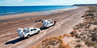 Más del 90% de los residuos hallados en costas de Chubut provienen de la pesca mas-del-90%-de-los-residuos-hallados-en-costas-de-chubut-provienen-de-la-pesca