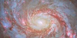 El James Webb detectó un faro de luz con el brillo de 8.000.000 de soles en la Galaxia del Calamar el-james-webb-detecto-un-faro-de-luz-con-el-brillo-de-8000.000-de-soles-en-la-galaxia-del-calamar