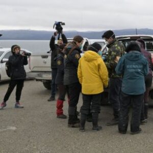 investigadores-recolectan-roedores-cerca-de-ushuaia-para-realizar-pruebas-de-hantavirus